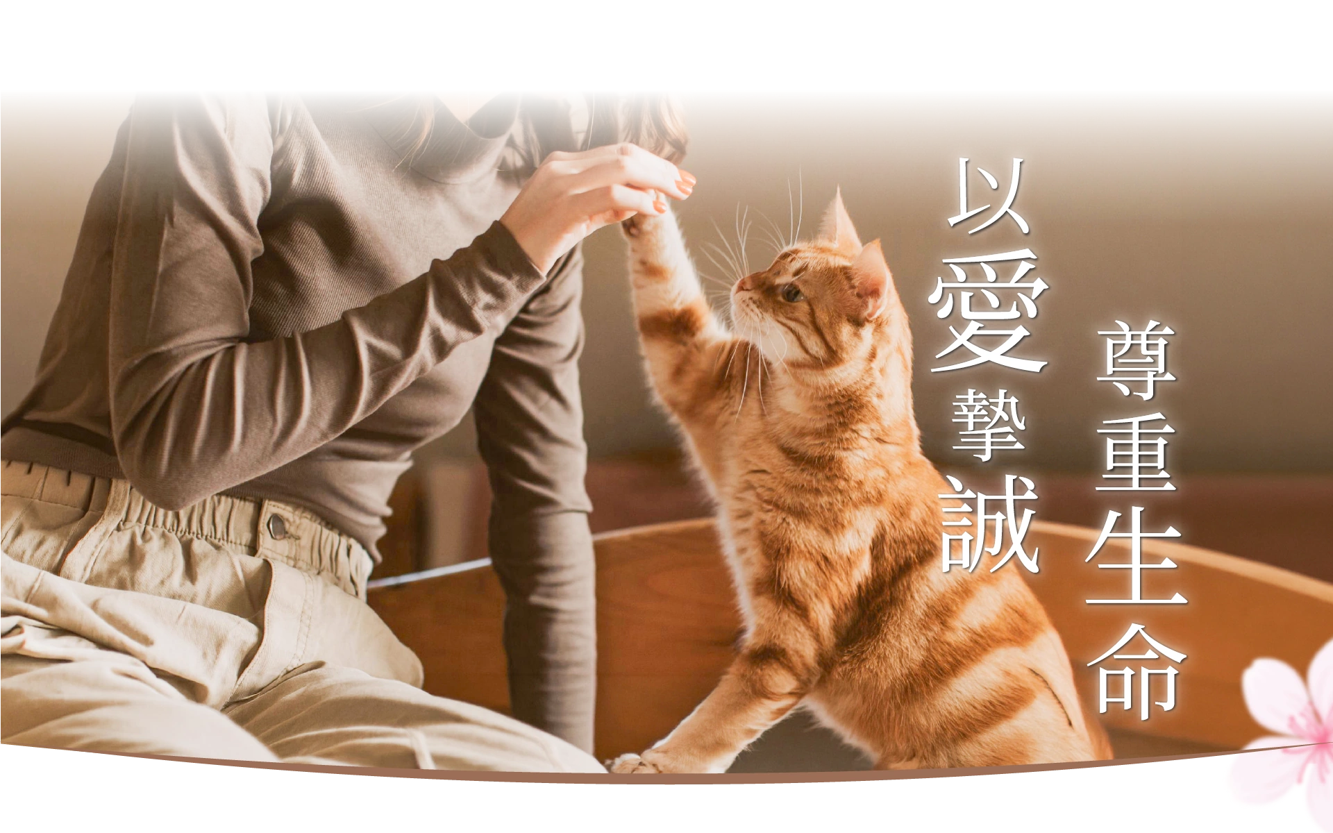 以愛摰誠 尊重生命